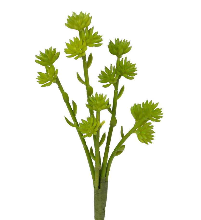11 Sedum Spray
