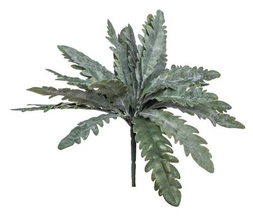13 Tropical Leaf