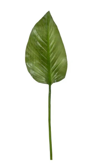 24 Small Calla Lily Leaf