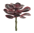 6 Echeveria Stem - Burgundy