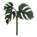 8 Split Leaf Philodendron Bush