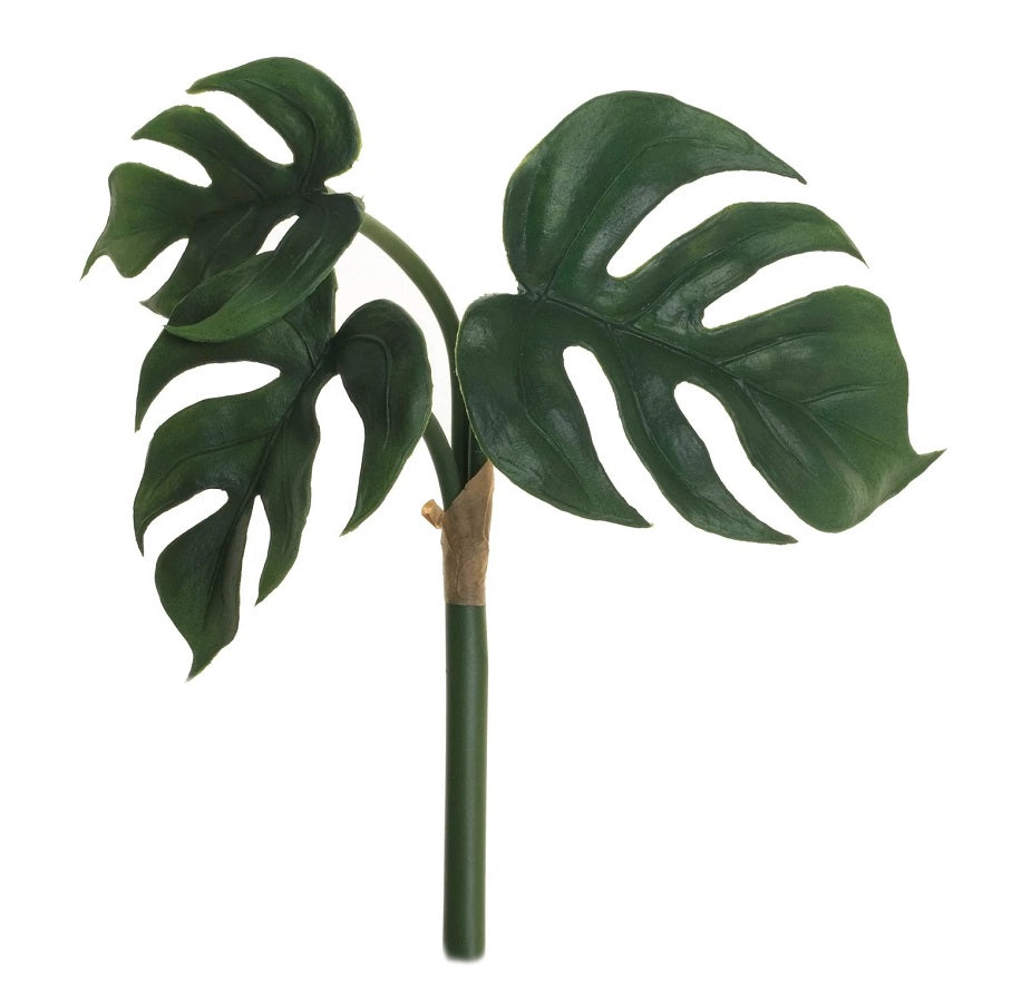 8 Split Leaf Philodendron Bush