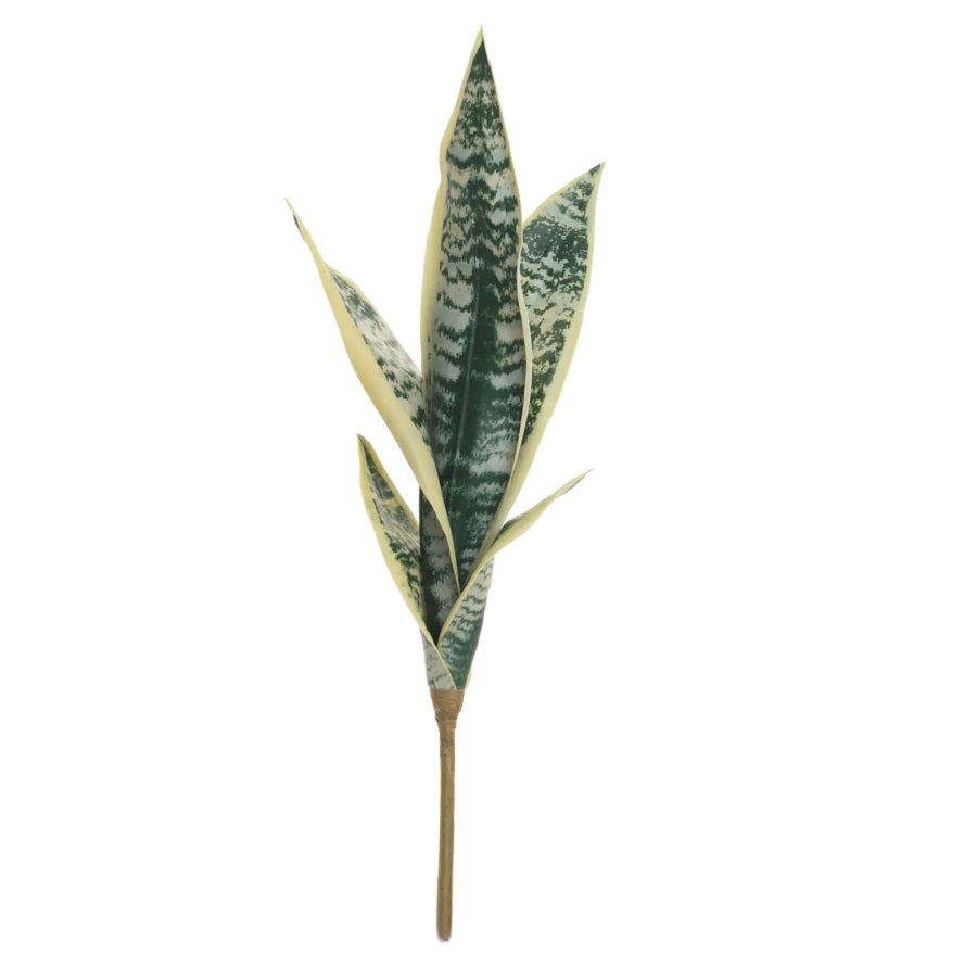 19 Tiger Tail Tall Stem - Yellow
